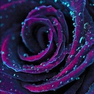 Meet your Posher, Christie